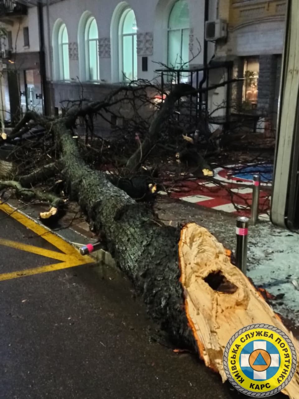 Десятки повалених дерев. З'явилися фото наслідків крижаного дощу в Києві